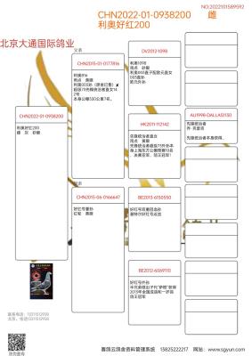 �Ͽ�-���ǲ���