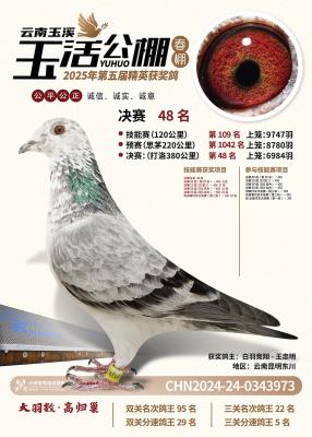 ��8���������