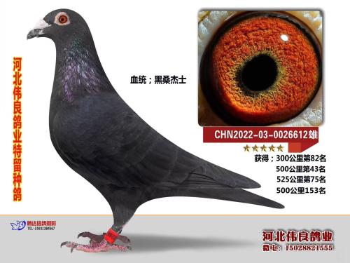 500����43��