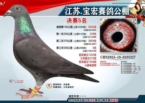 ���ձ��깫��500����5��