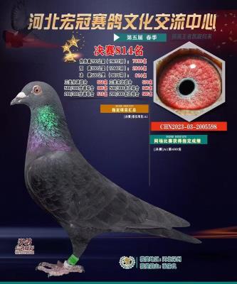 ��ڹ���500����814��