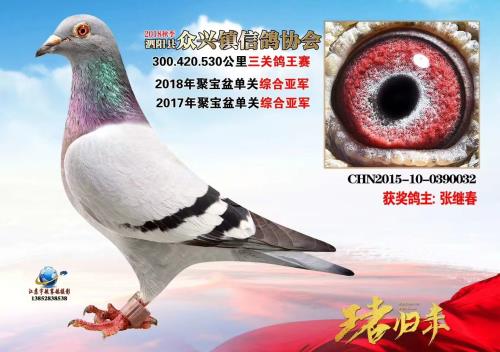 2017-2018�۱���