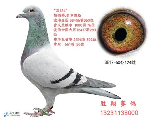 �ڲ��غ���ԭ��