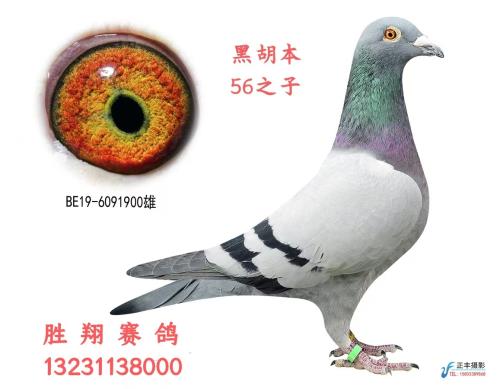 �ڲ��غ���ԭ��