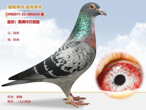 ������ ɣ��ʿ