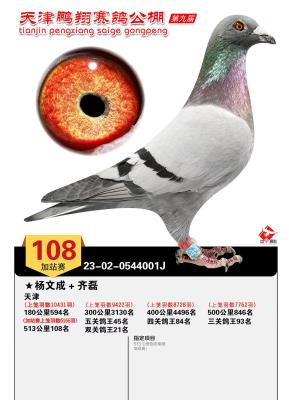 ���蹫�����846����վ��108