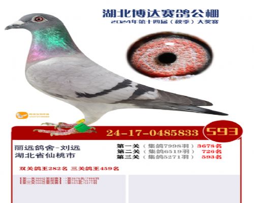 24�격���������593��