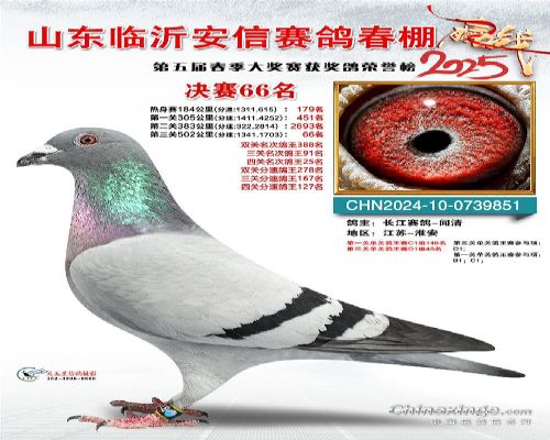 2025 ɽ���������봺��