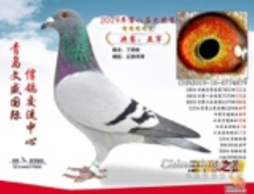 �ൺ��ʤ�����Ǿ�