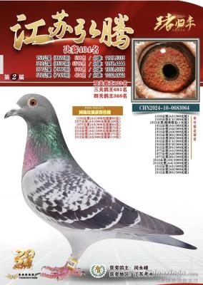 ͬ��˫�Ƶý�