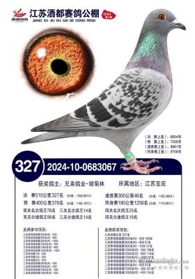 ͬ��˫�Ƶý�