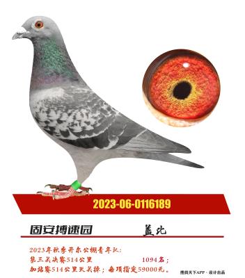 盖比