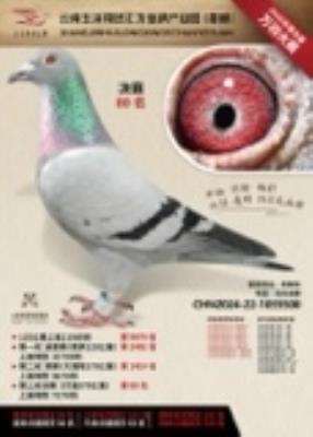 汇龙80名