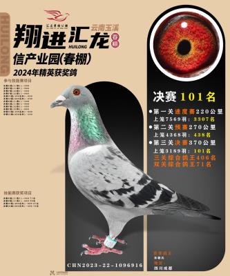汇龙101