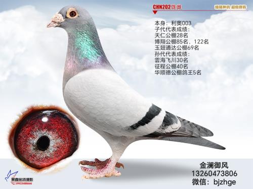 鸽舍