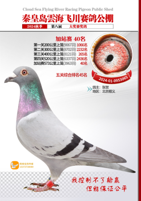 公棚40名
