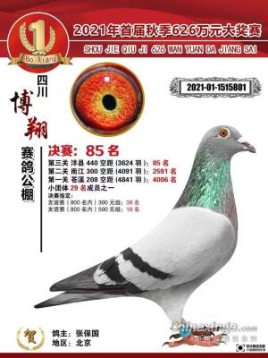 公棚85名