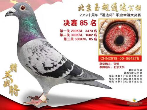公棚85名