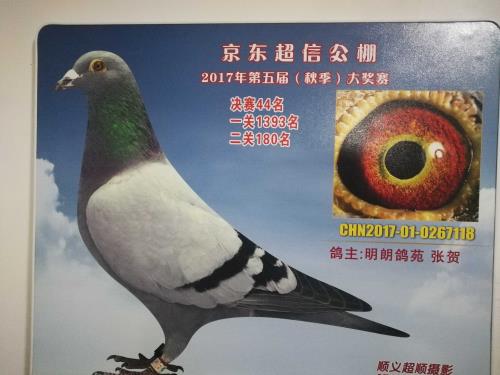 公棚44名