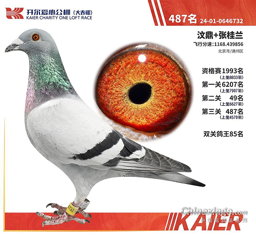 2025开尔大春棚400公里49