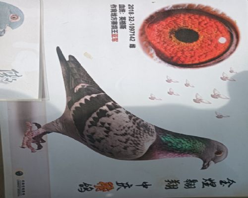 未命名