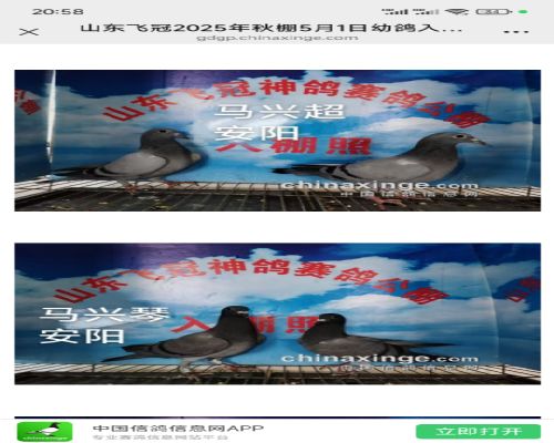 ��һ�Խ�����ĸ���