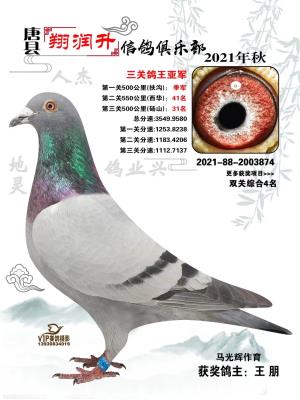 �����Ǿ�