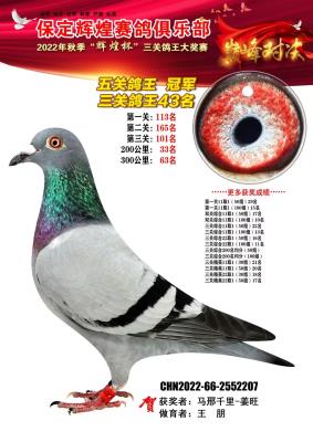 �����ھ�