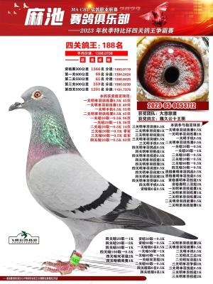 �����ۺ�6