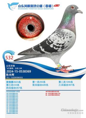 2025�괺ɽ���緫����532��