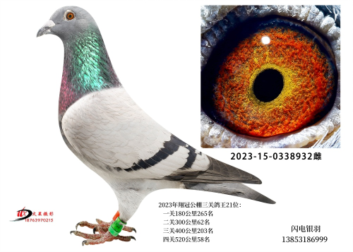 2023������ڹ������58��