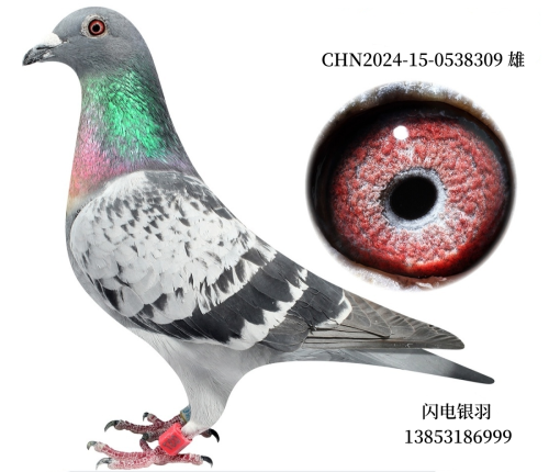 2024������ڹ������37��