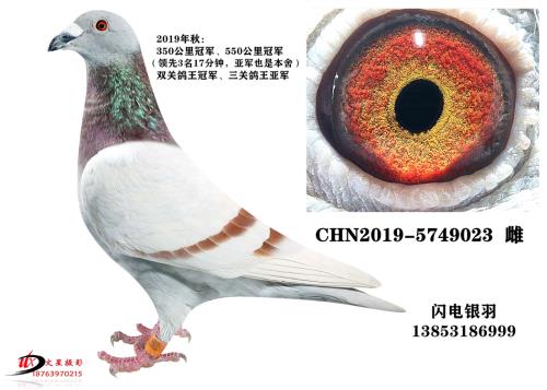 3�ظ����Ǿ�/���ɾ���24��ĸ��