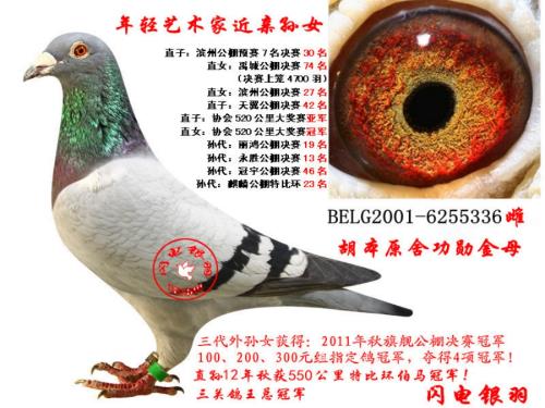 ��ü������