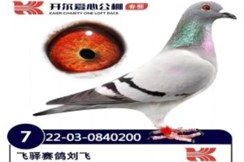 23�괺���󿪶�7��