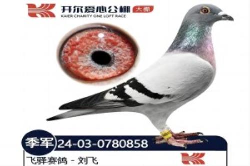 24���＾�󿪶�3��