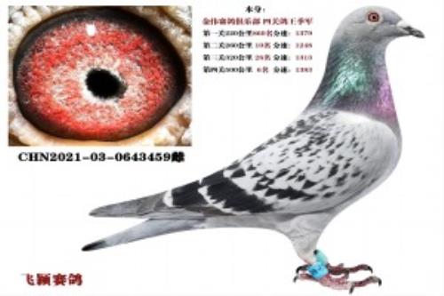 ��ΰ���ֲ���������