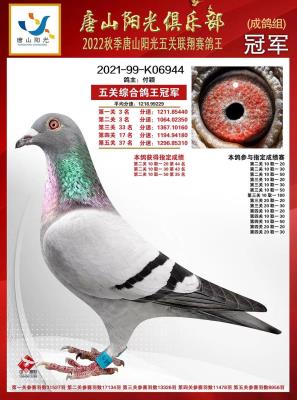 ��ɽ���������������ھ�