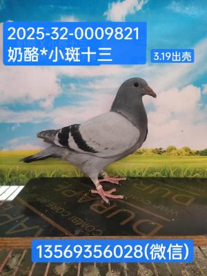 ֲ