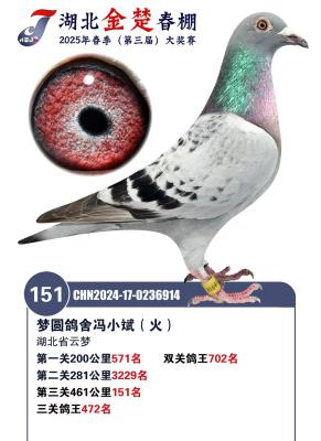 2025������