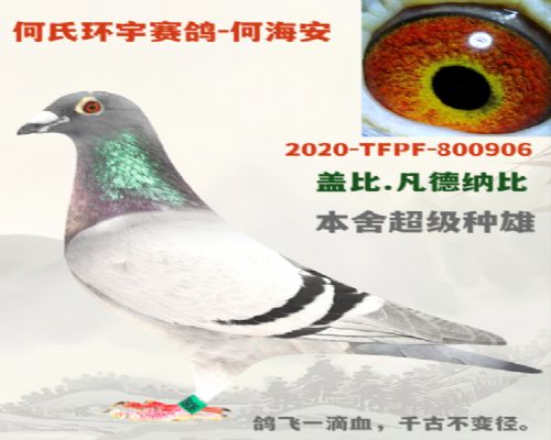 �Ǳ�.�����Ǳ�