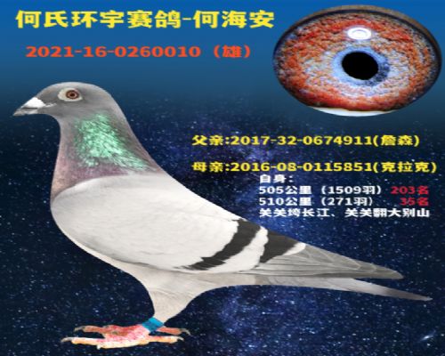 ղɭ.������