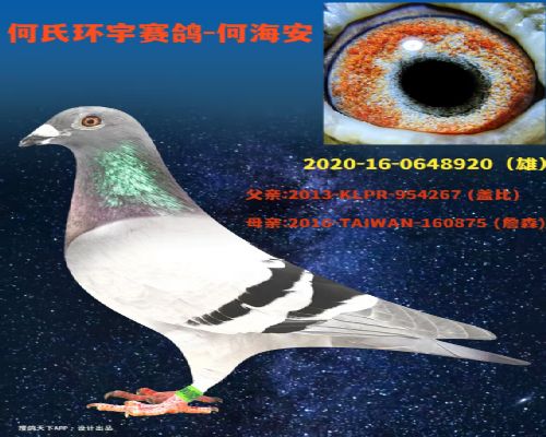 ̨��ԭ��ֱ������