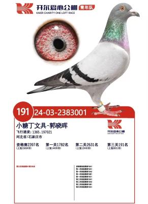 ӥ������