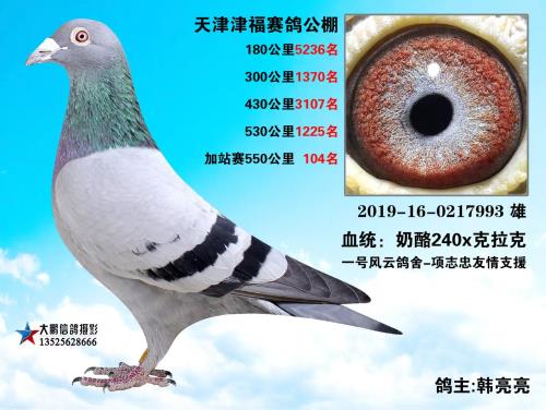 ����X������