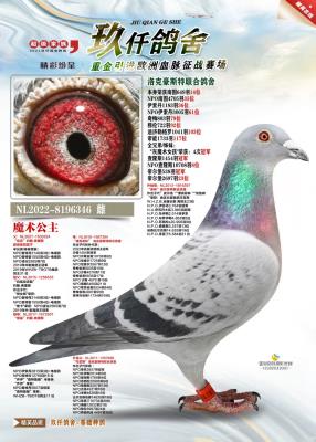 ��Ǫ��������