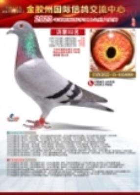 ���ݻ񽱸����32��