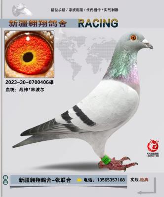 ս��*�ֲ���