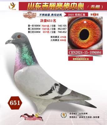 2025�꼪�贺�����651��