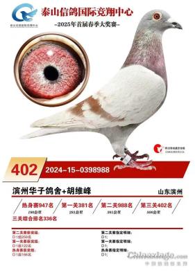 2025��̩���������402��